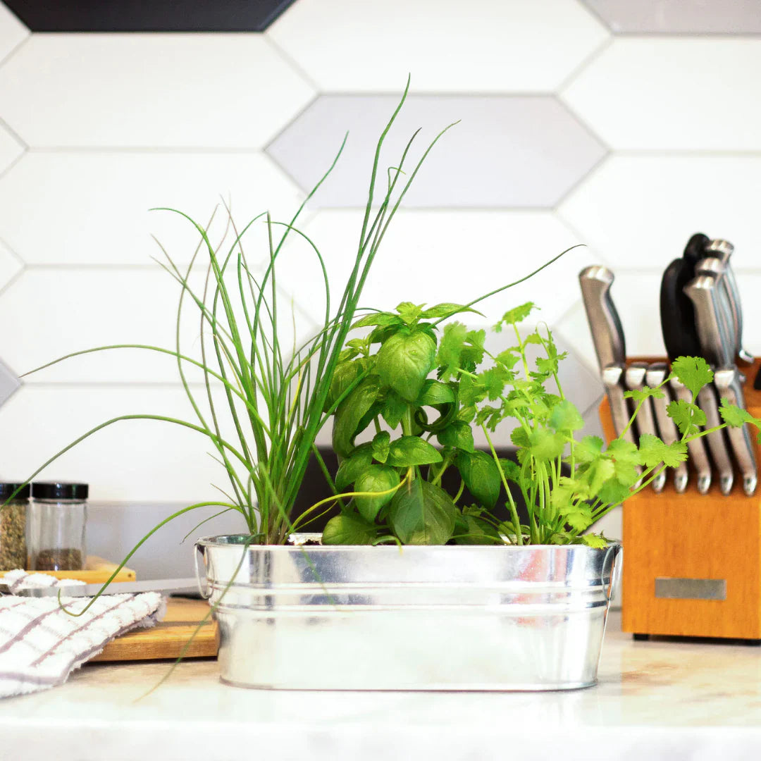 Why Sustainable Promotions Are Growing in Demand