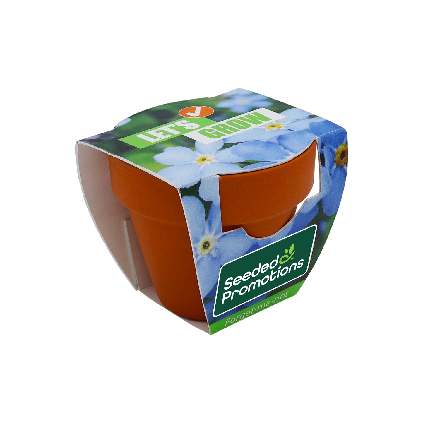 Mini Terracotta Grow Kit - Let's Grow