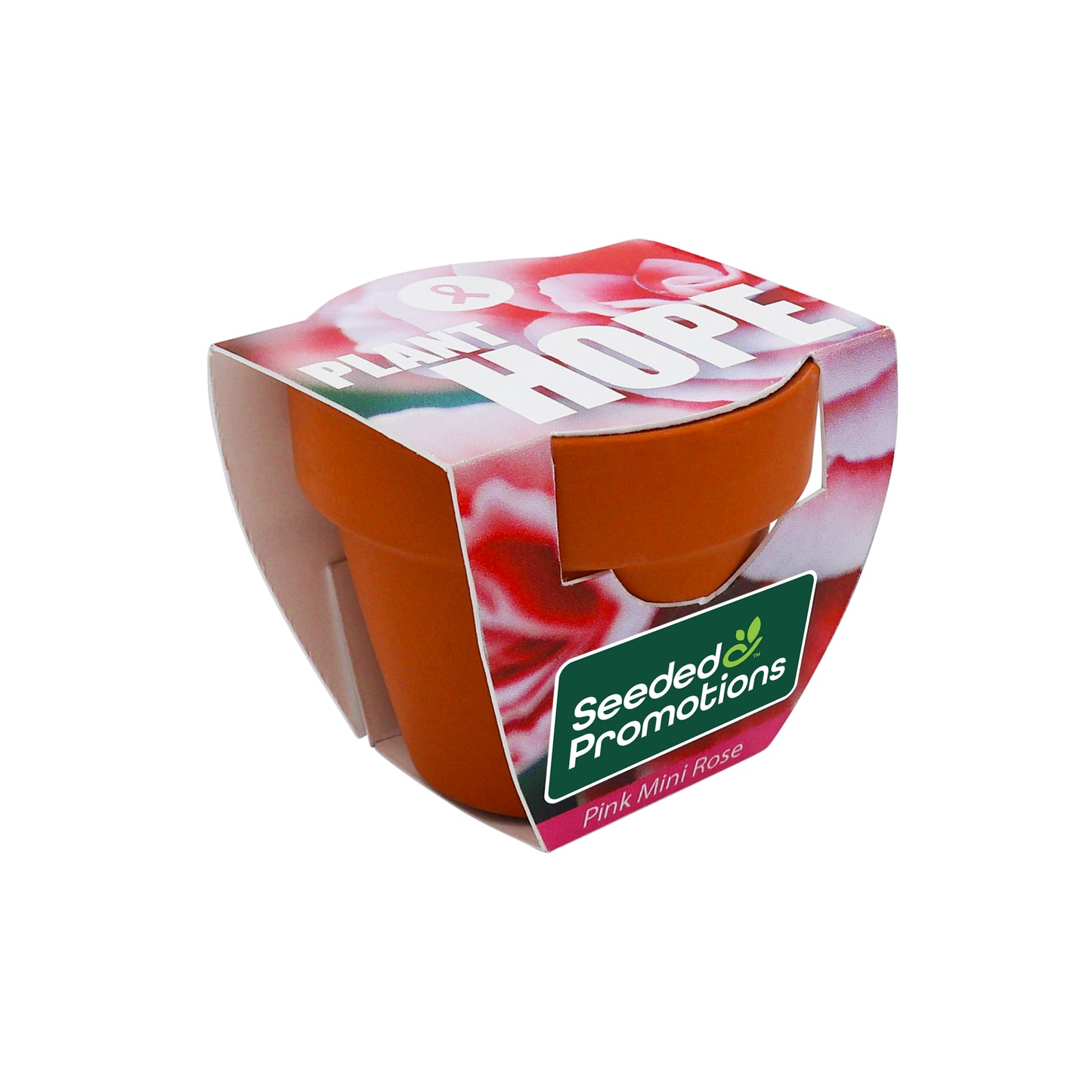 Mini Terracotta Grow Kit – Plant Hope