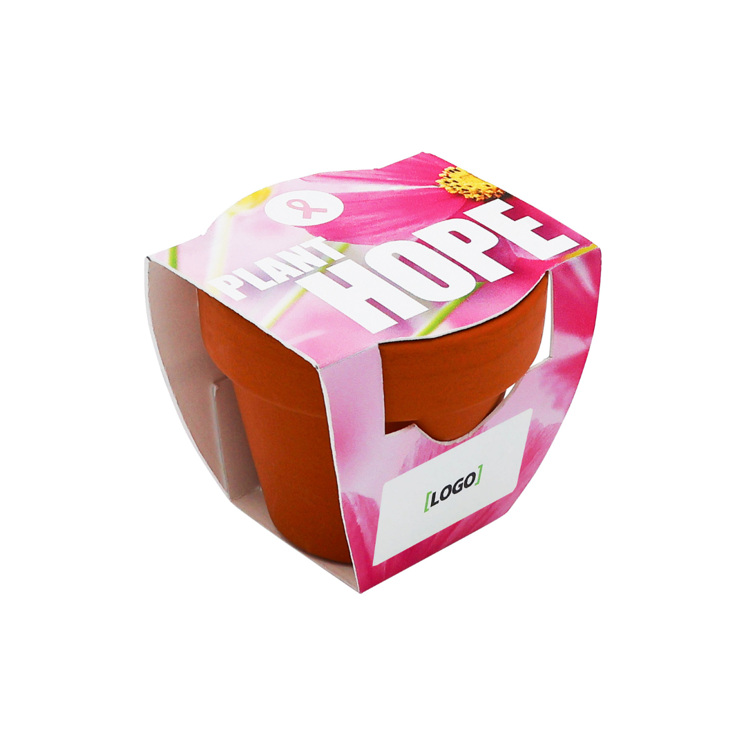 Mini Terracotta Grow Kit – Plant Hope