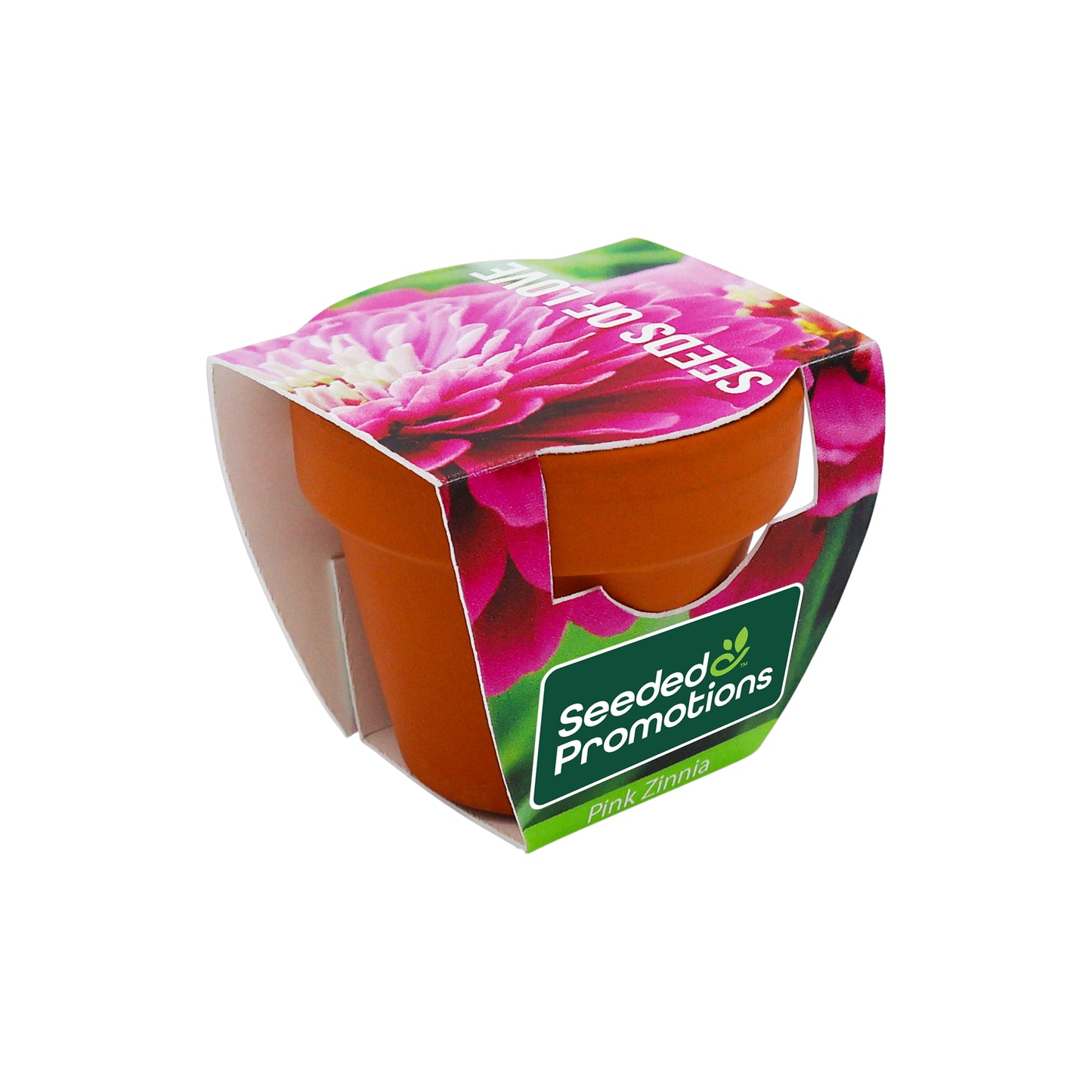 Mini Terracotta Grow Kit - Seeds of Love