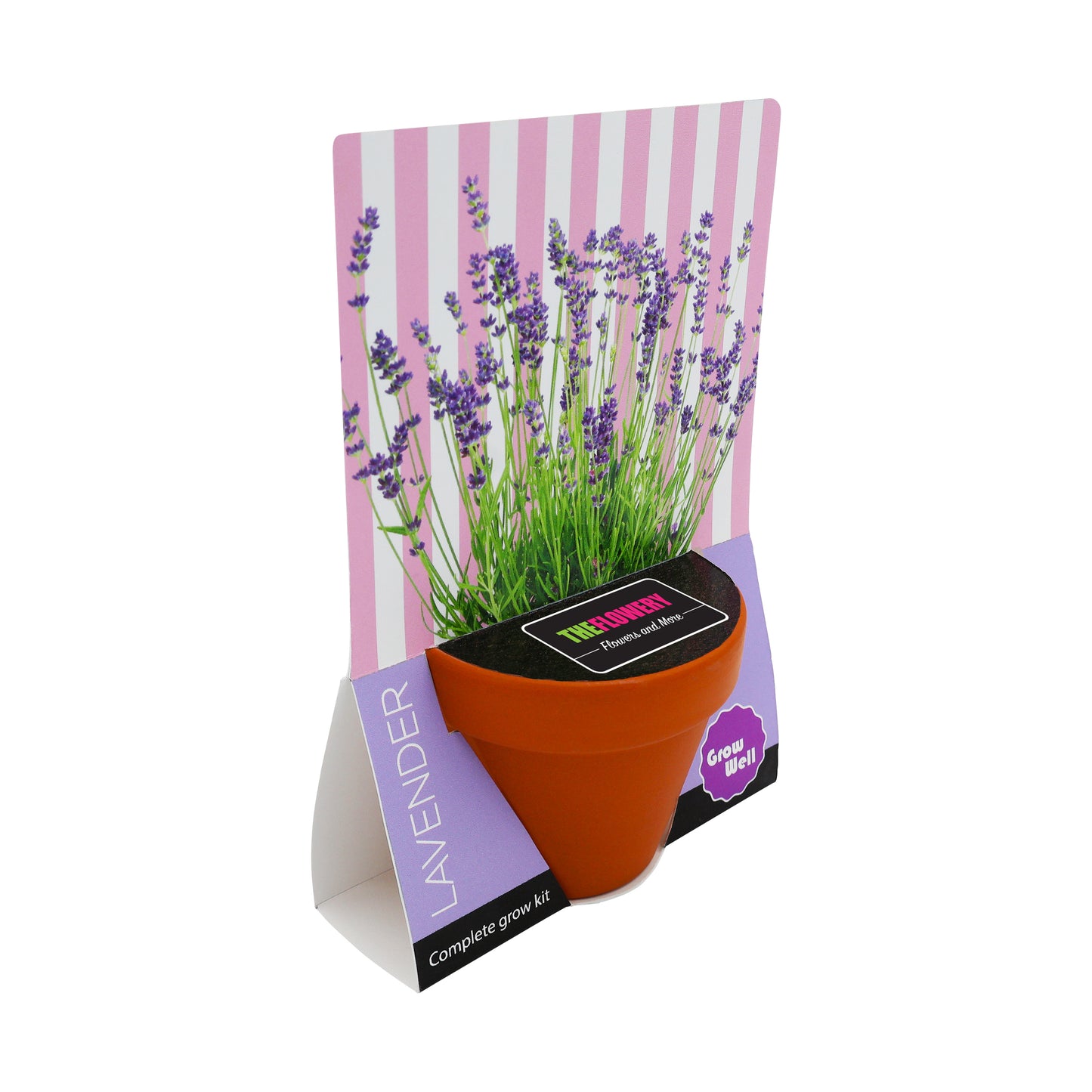 Terracotta Grow Kit - Grow Well