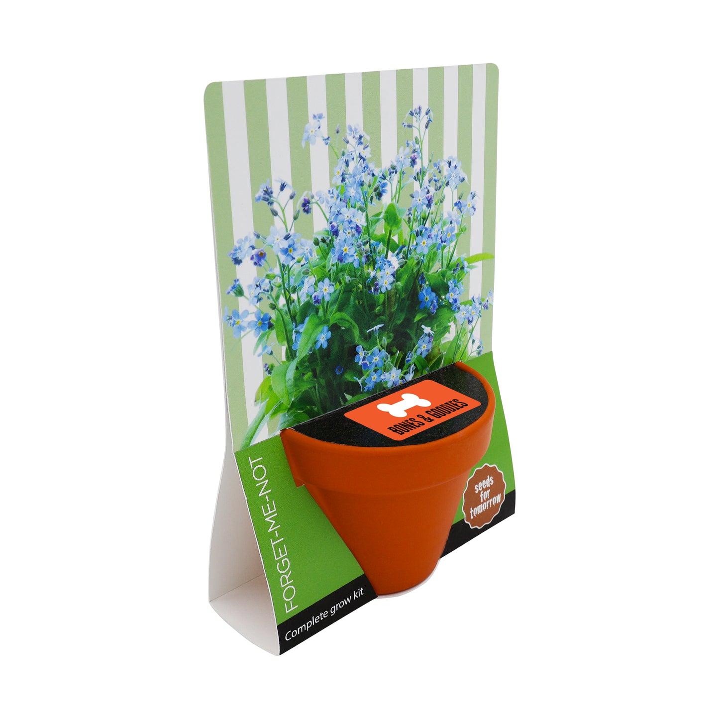 Terracotta Grow Kit - Seeds for Tomorrow