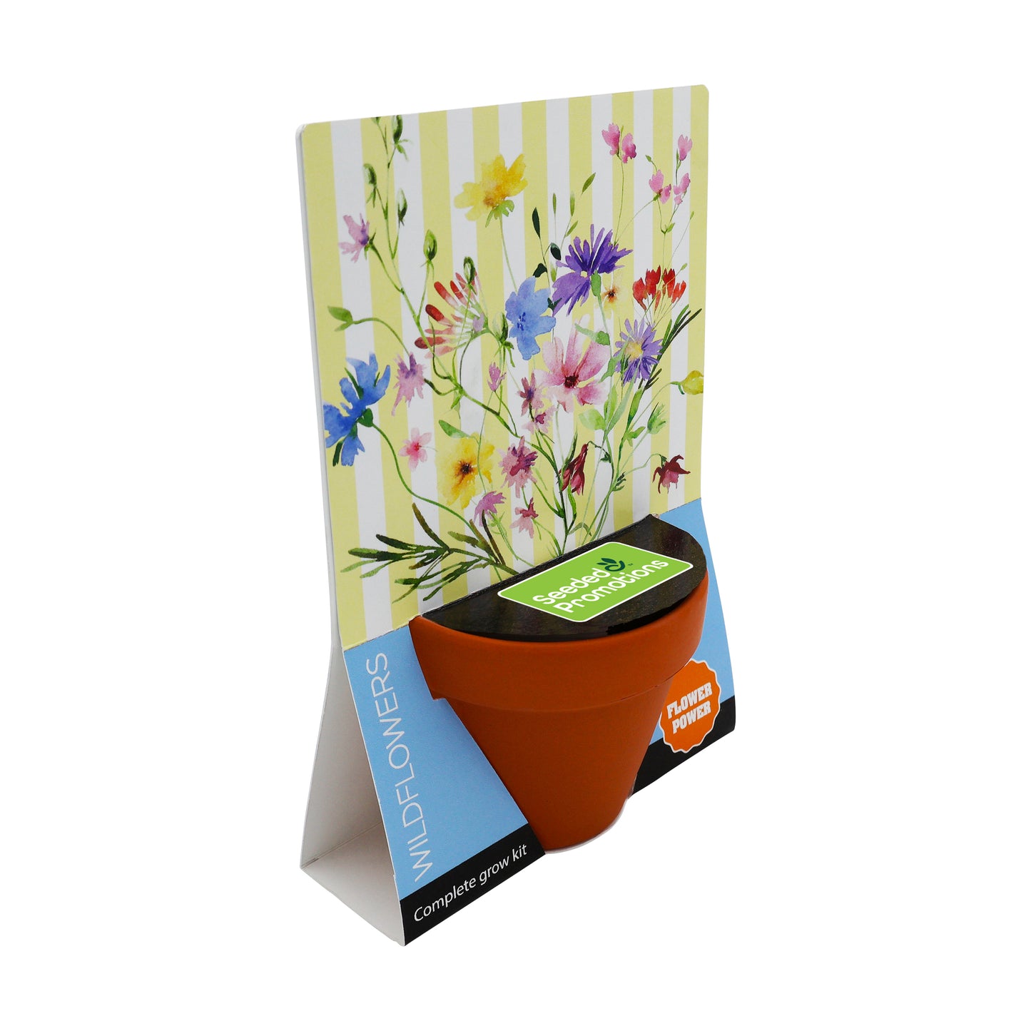 Terracotta Grow Kit - Flower Power