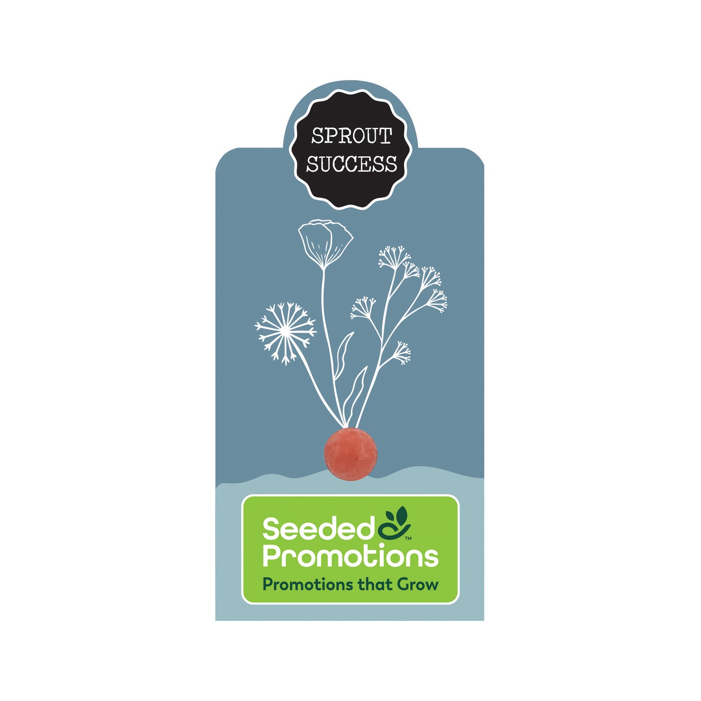 Single Seed Ball Card - Sprout Success