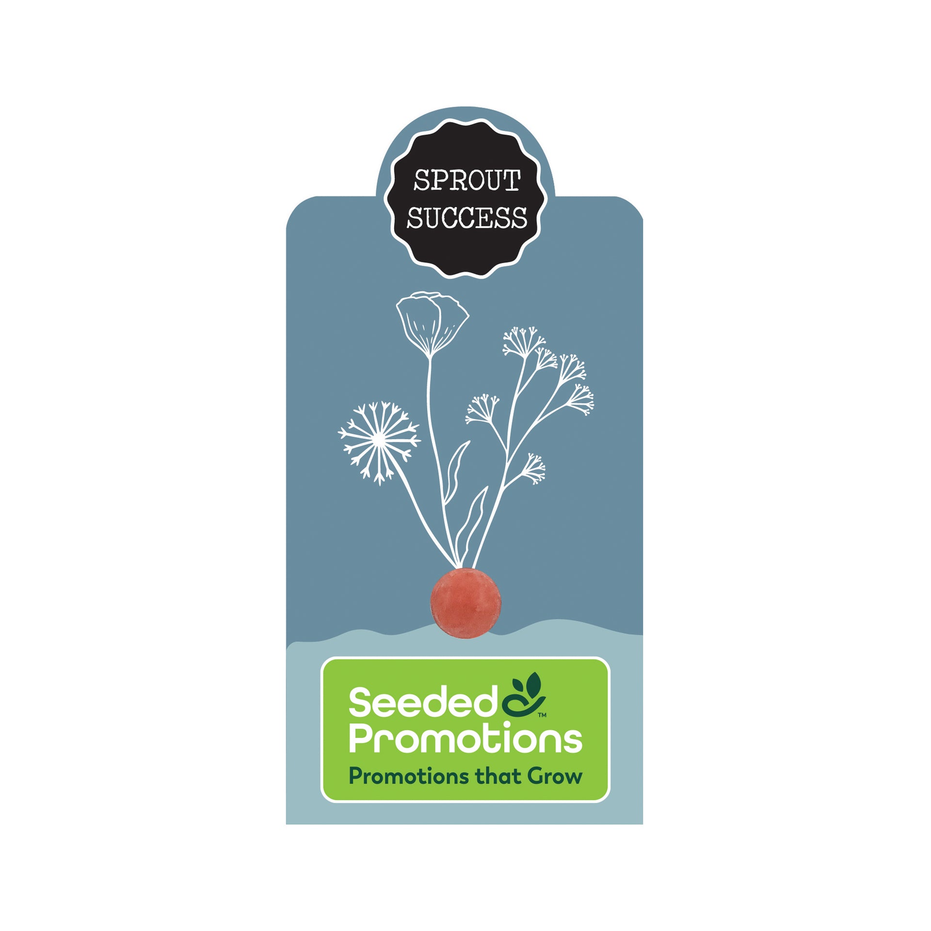 Single Seed Ball Card - Sprout Success