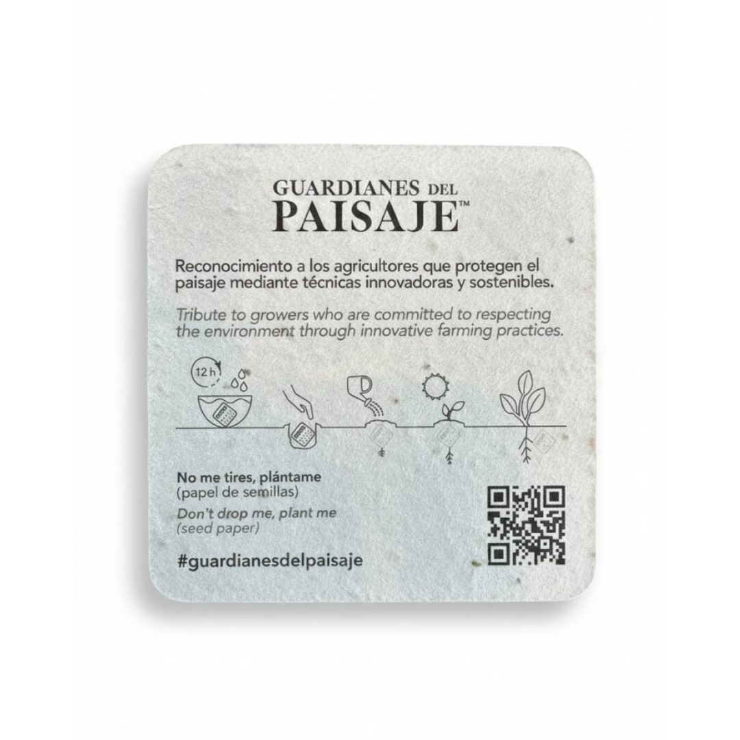 Seeded Paper Coasters - square