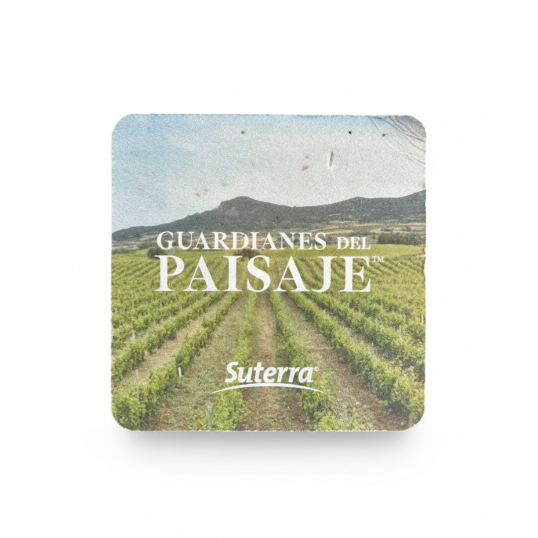 Seeded Paper Coasters - square