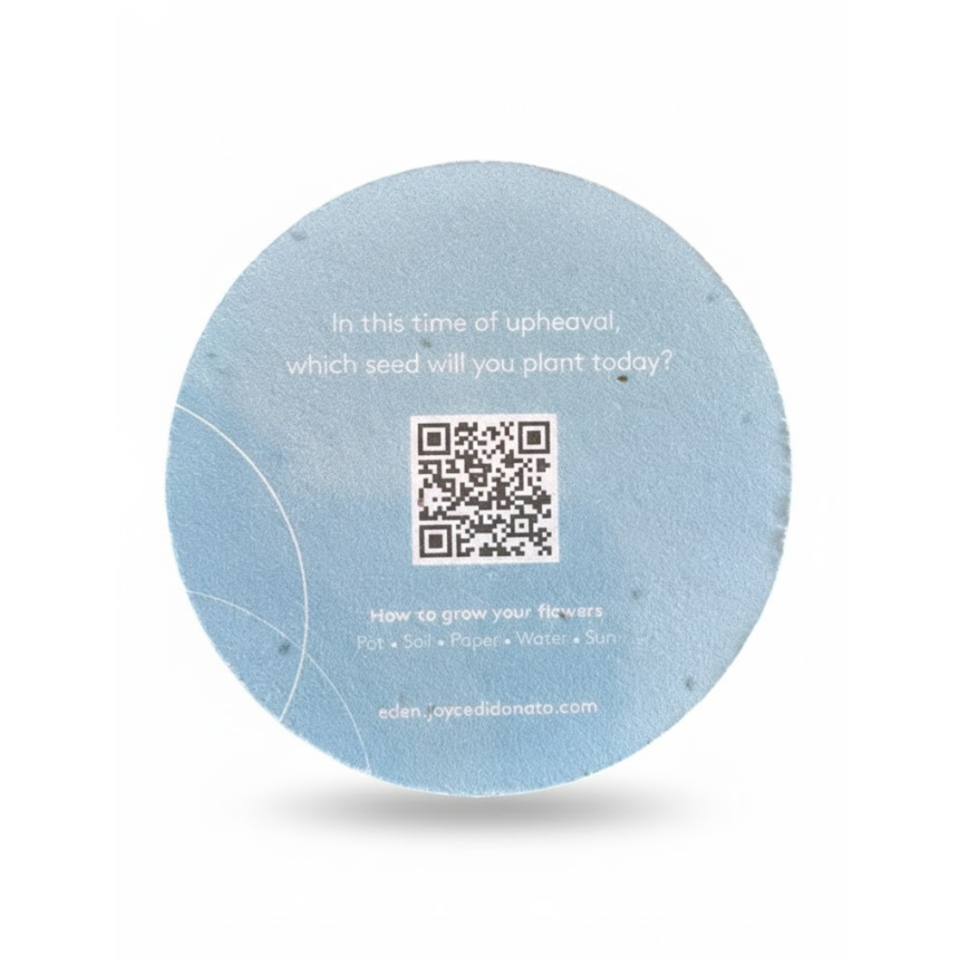 Seeded Paper Coasters - round