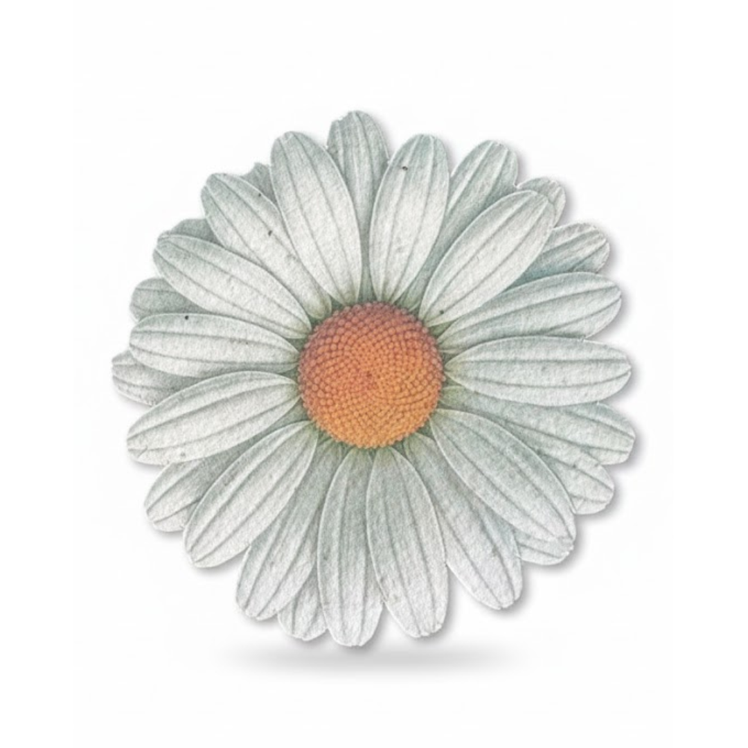 Seeded Paper - Special Shapes