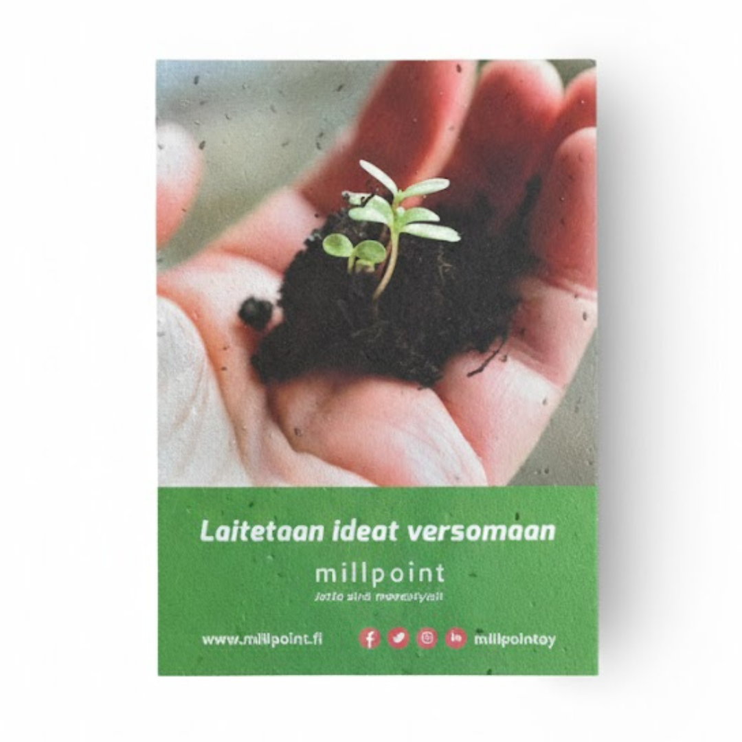 Seed Paper Postcards