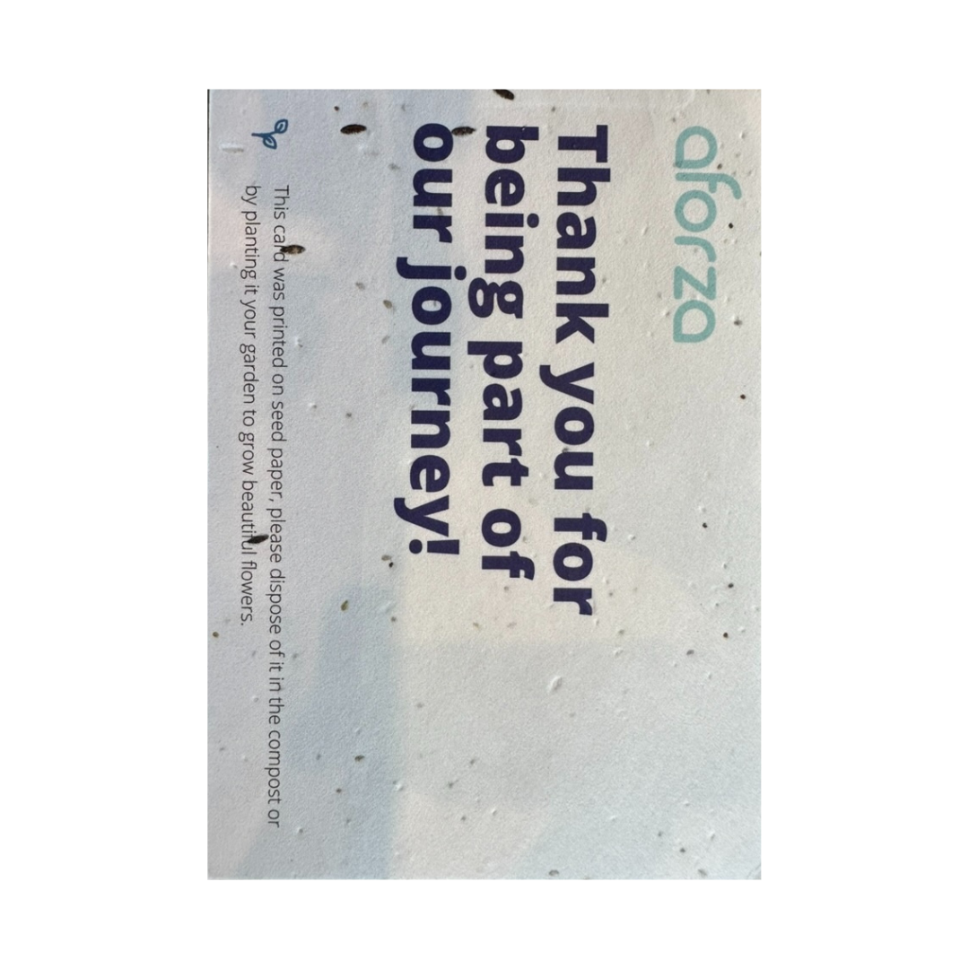 Seed Paper Postcards