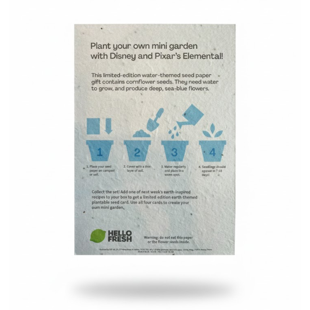 Seed Paper Postcards