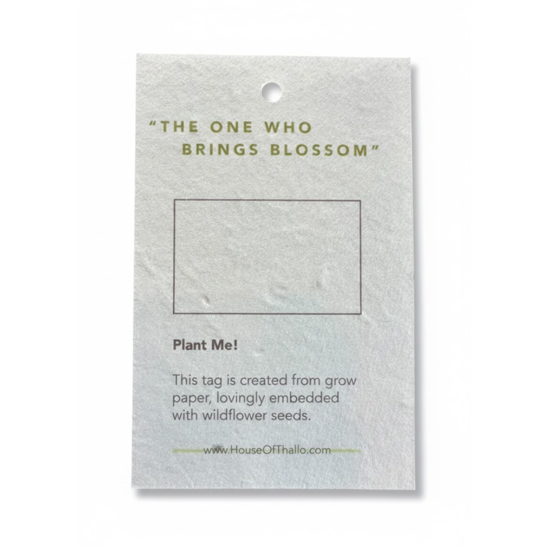 Seed Paper Labels and Hangtags