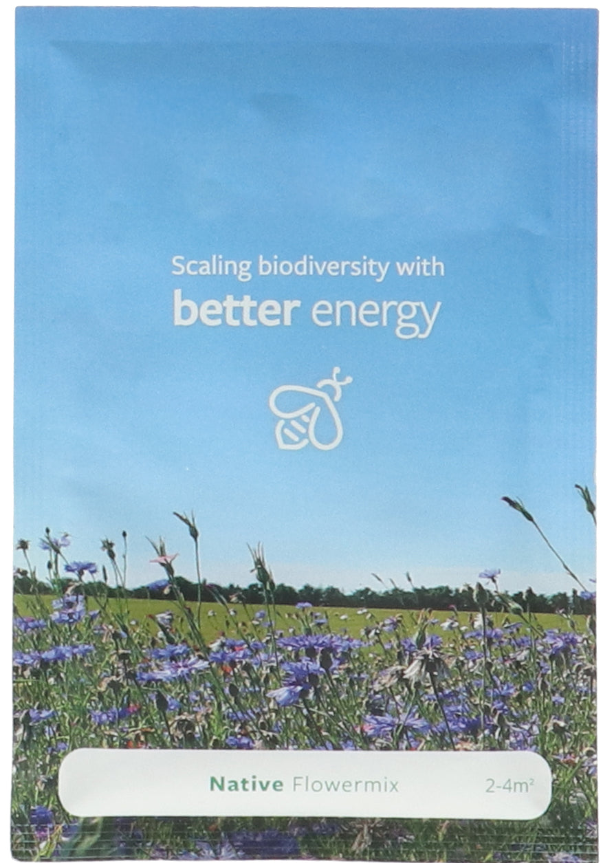 Standard Seed Packet