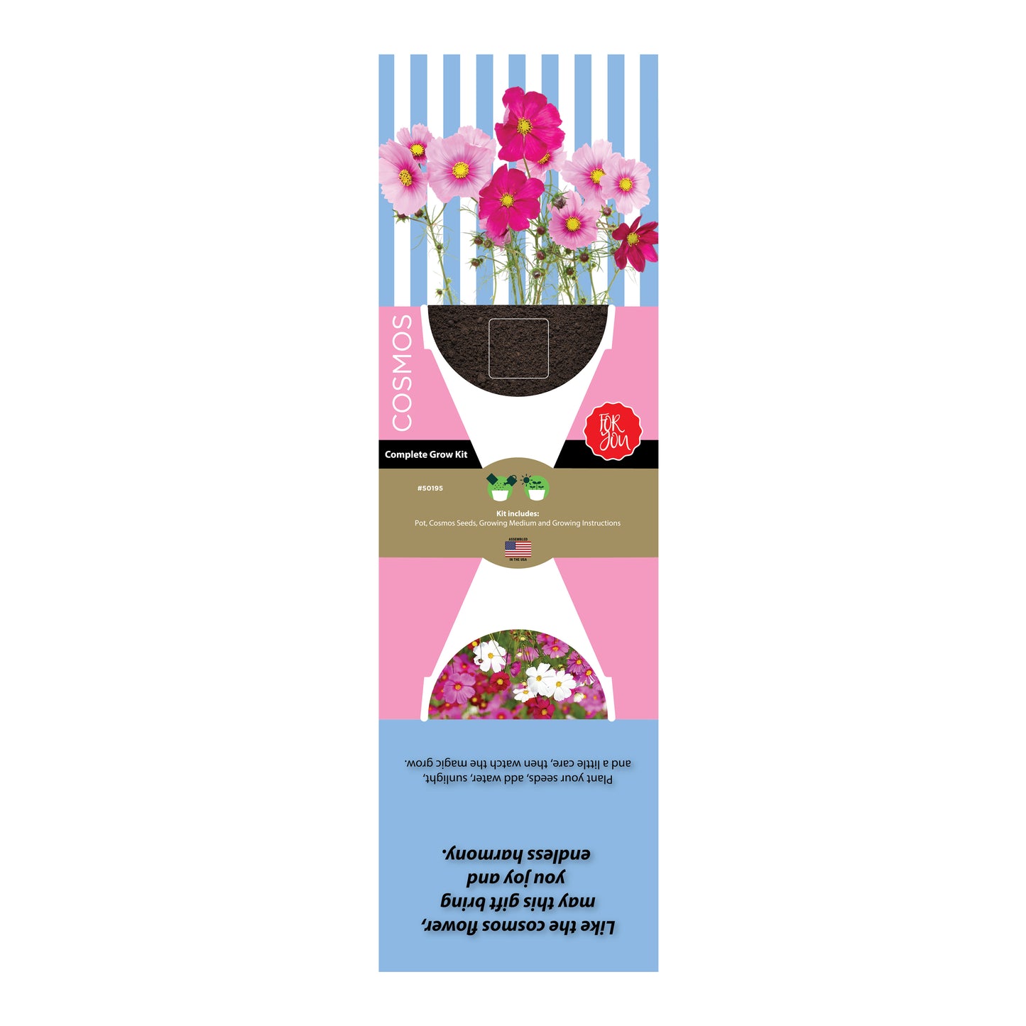 Terracotta Grow Kit - Flowers For You