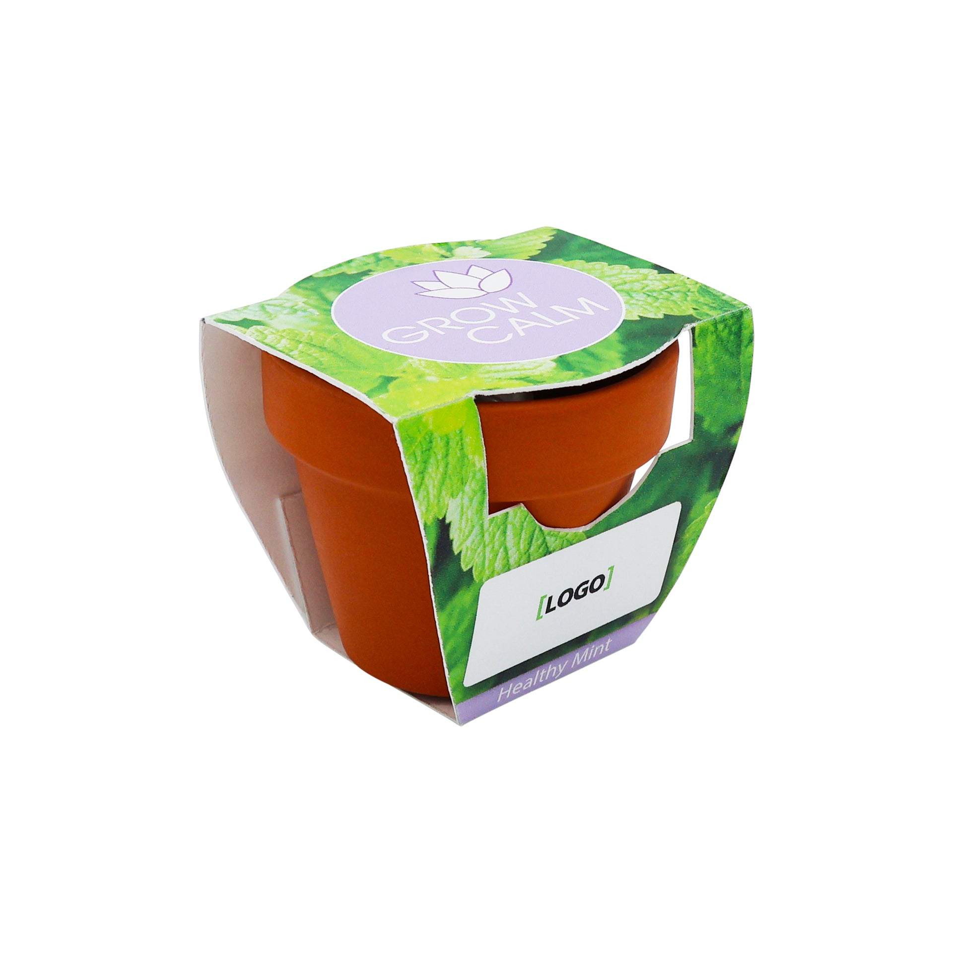 Mini Terracotta Grow Kit - Grow Calm