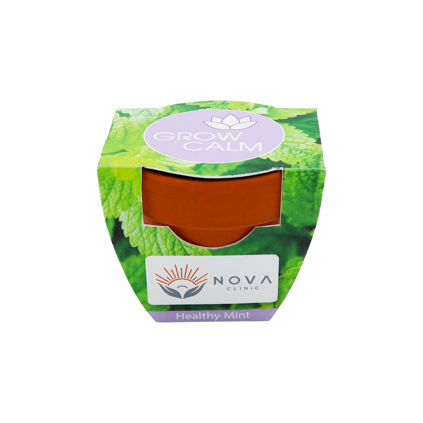 Mini Terracotta Grow Kit - Grow Calm