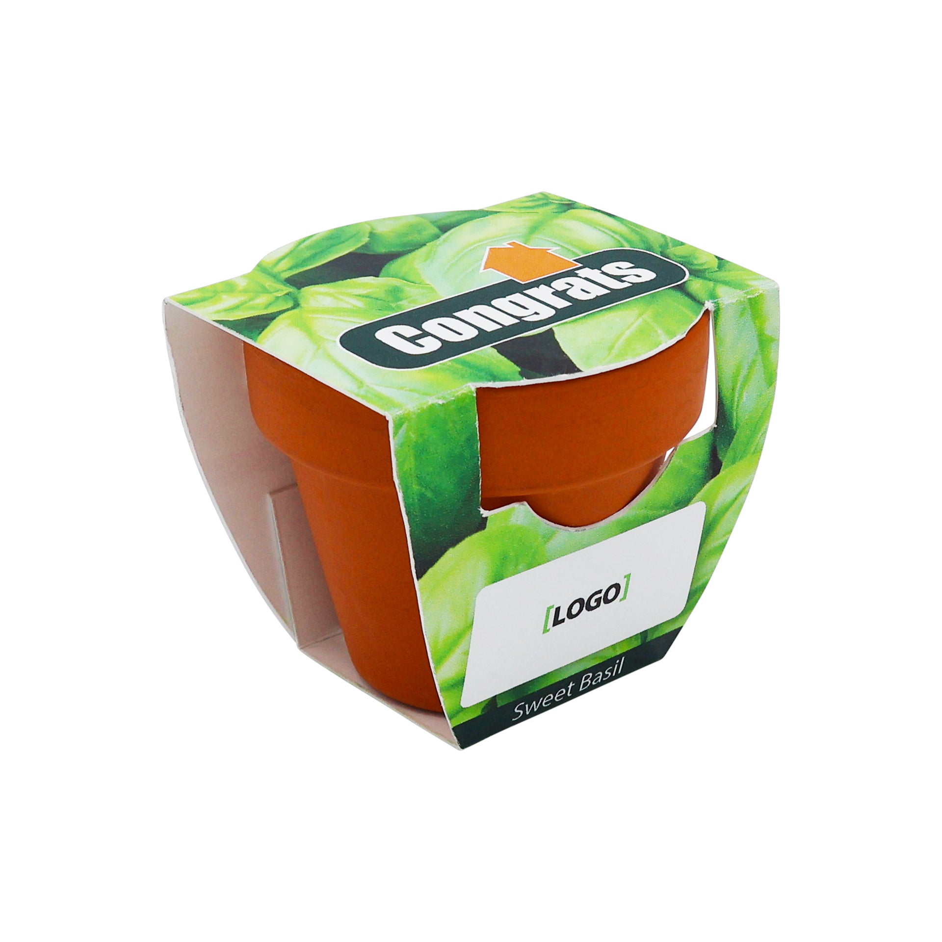 Mini Terracotta Grow Kit - Congrats