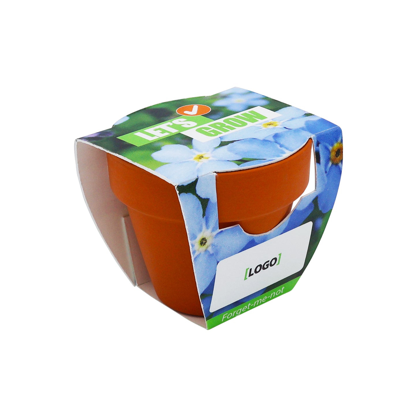 Mini Terracotta Grow Kit - Let's Grow