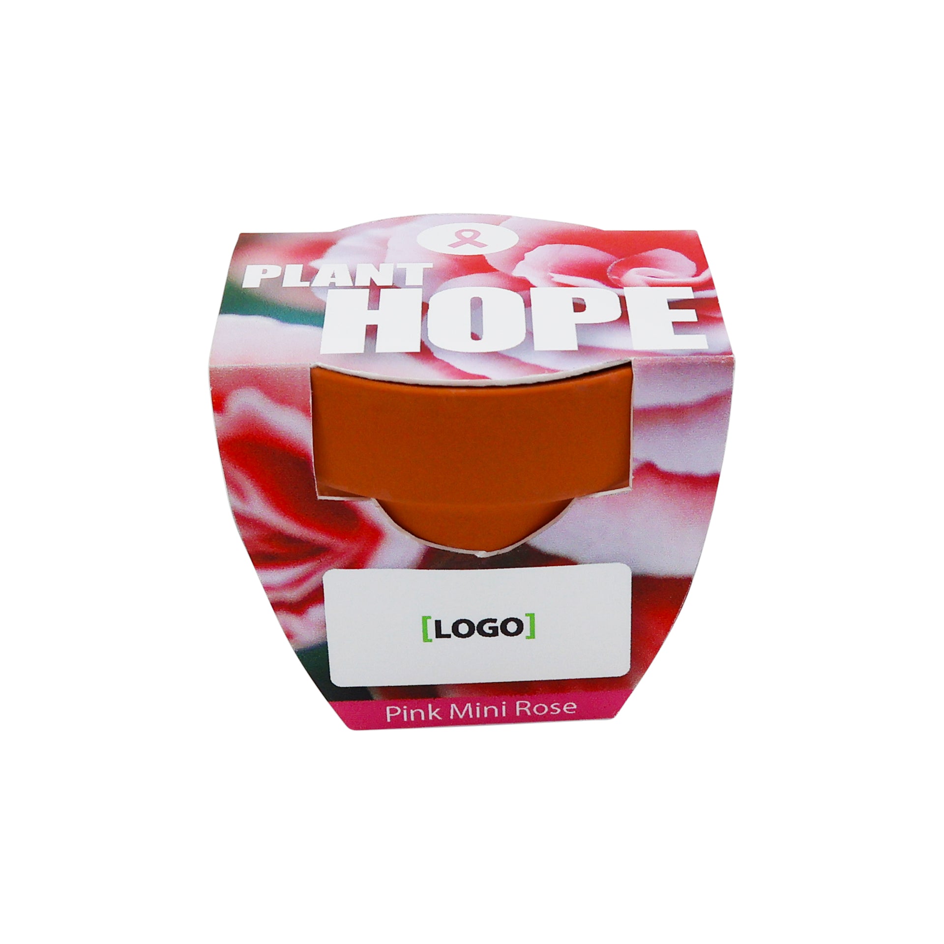 Mini Terracotta Grow Kit – Plant Hope