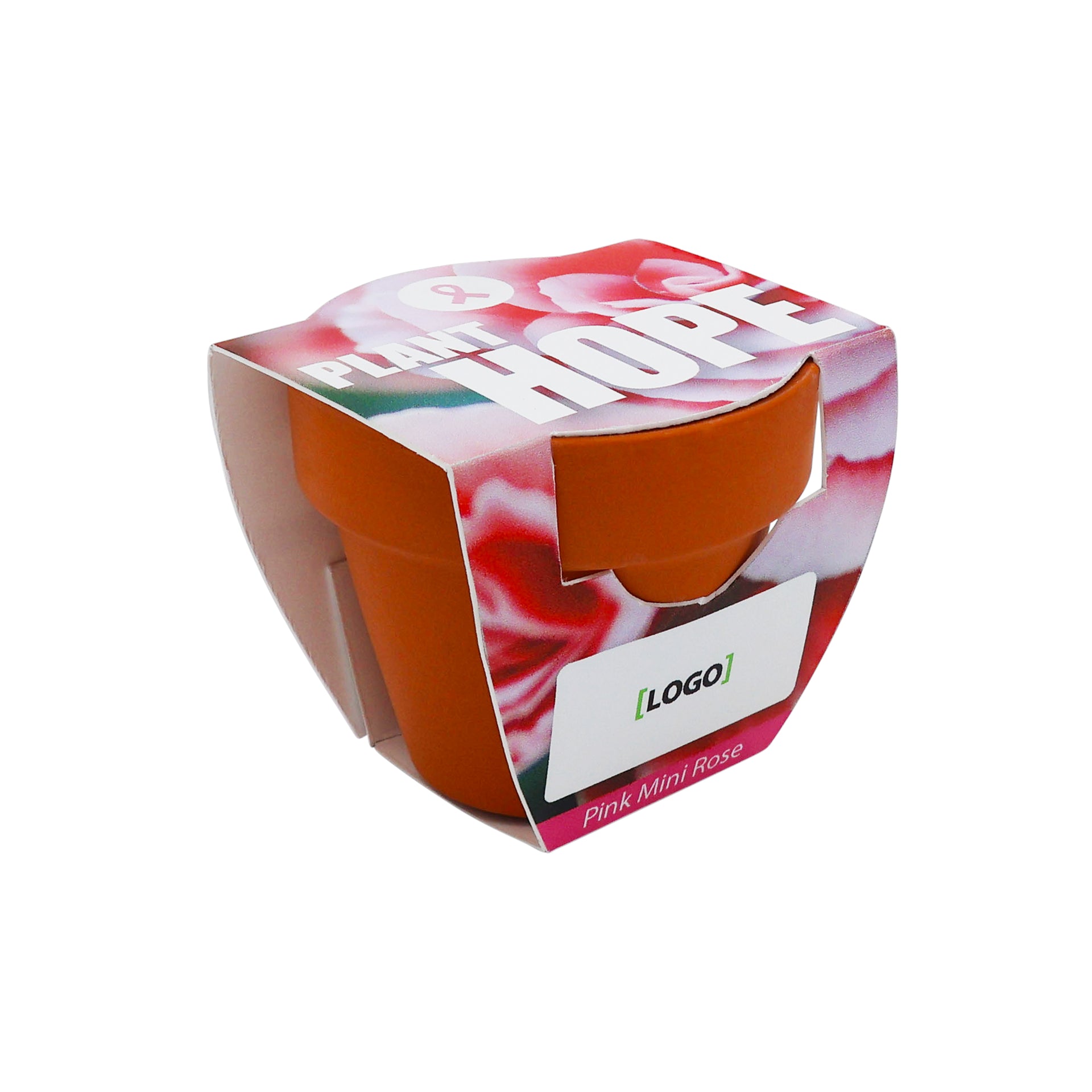 Mini Terracotta Grow Kit – Plant Hope