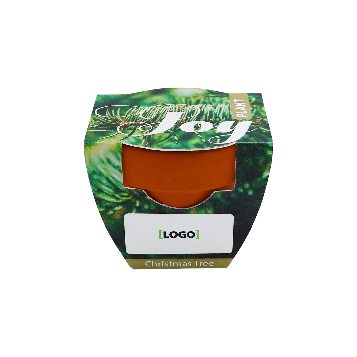 Mini Terracotta Grow Kit - Plant Joy