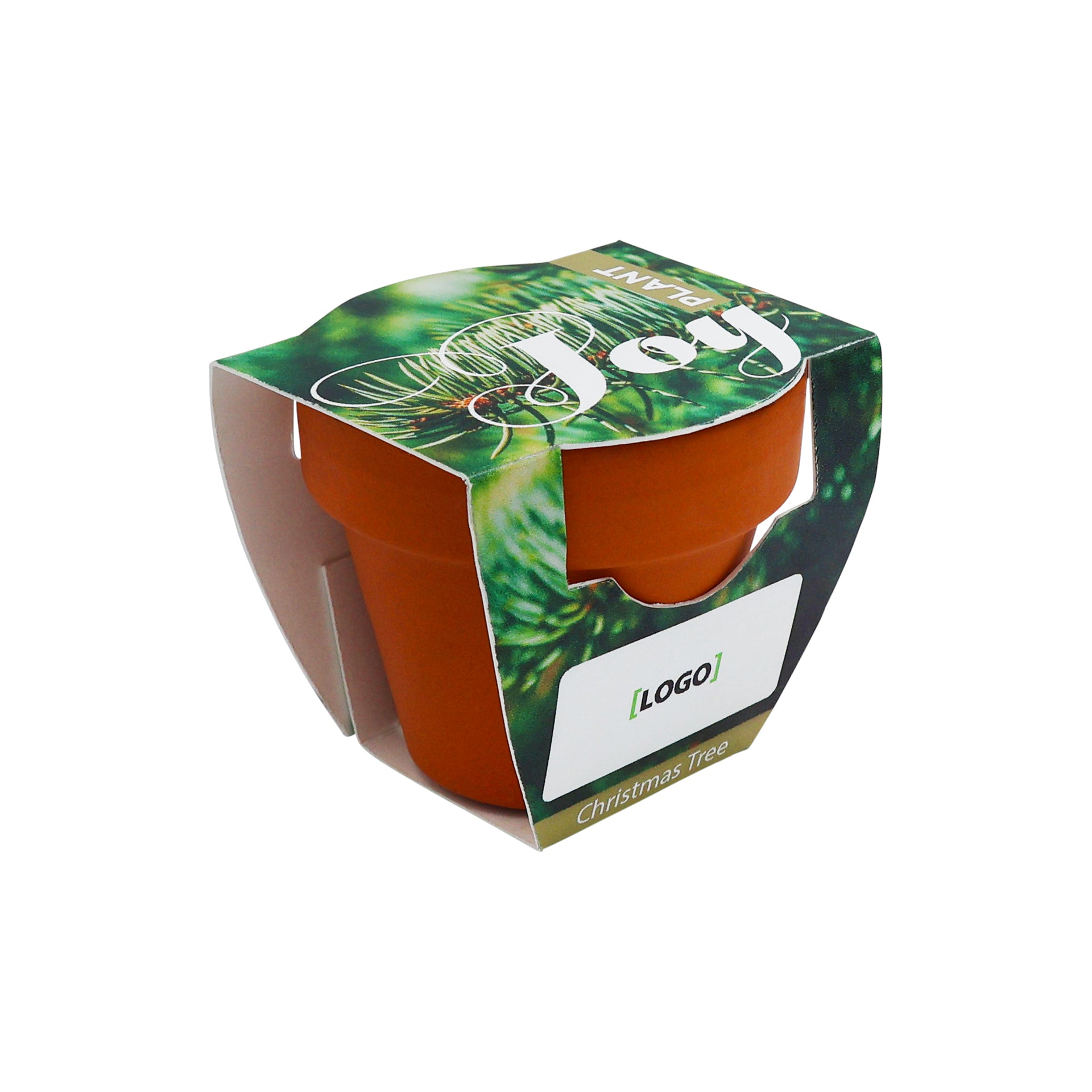 Mini Terracotta Grow Kit - Plant Joy