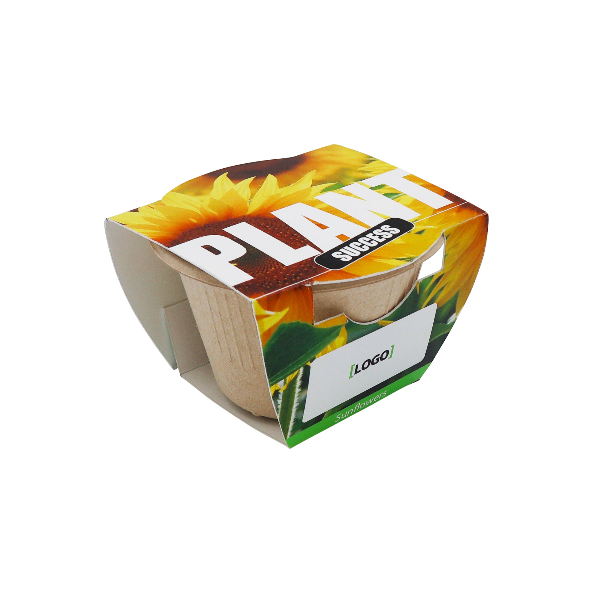 Paper Cup Planting Kit - Plant Success