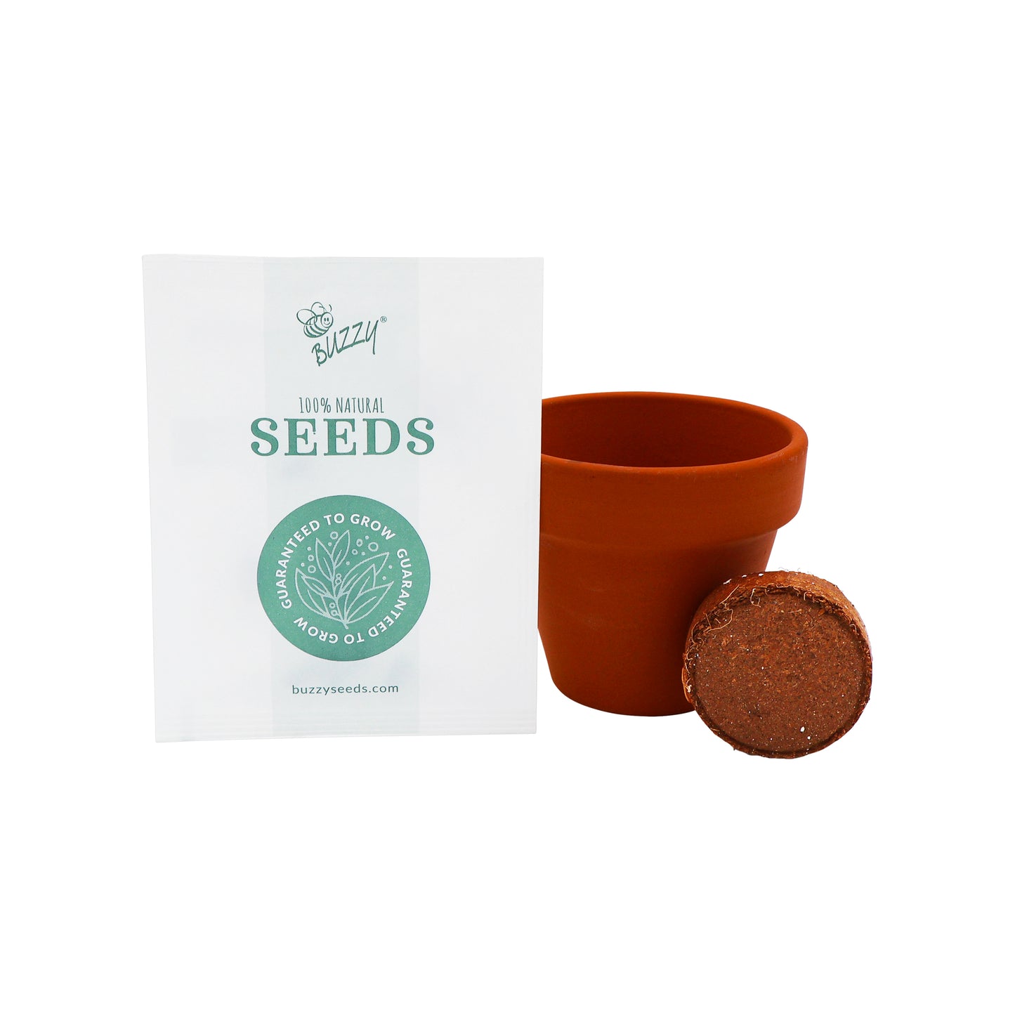 Mini Terracotta Grow Kit - Plant Change
