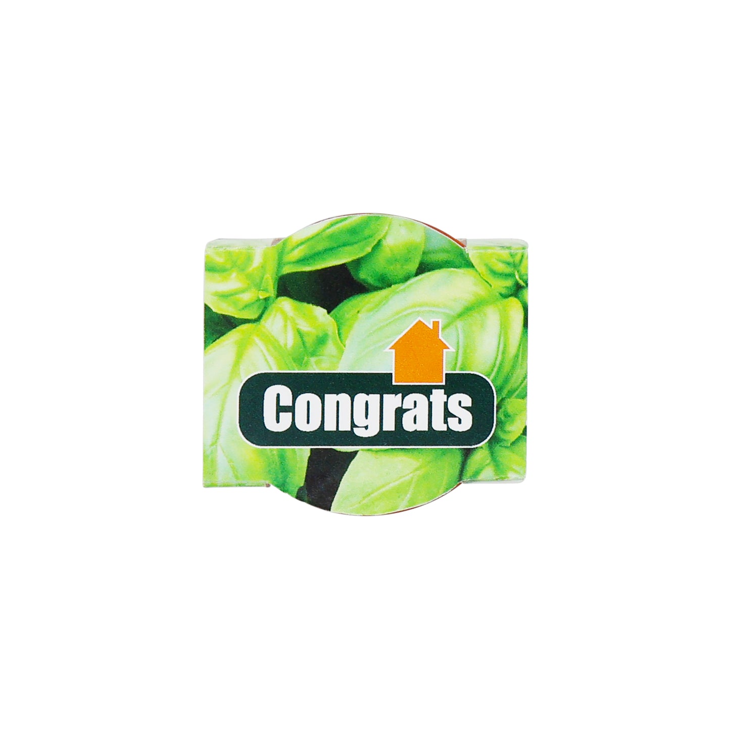 Mini Terracotta Grow Kit - Congrats