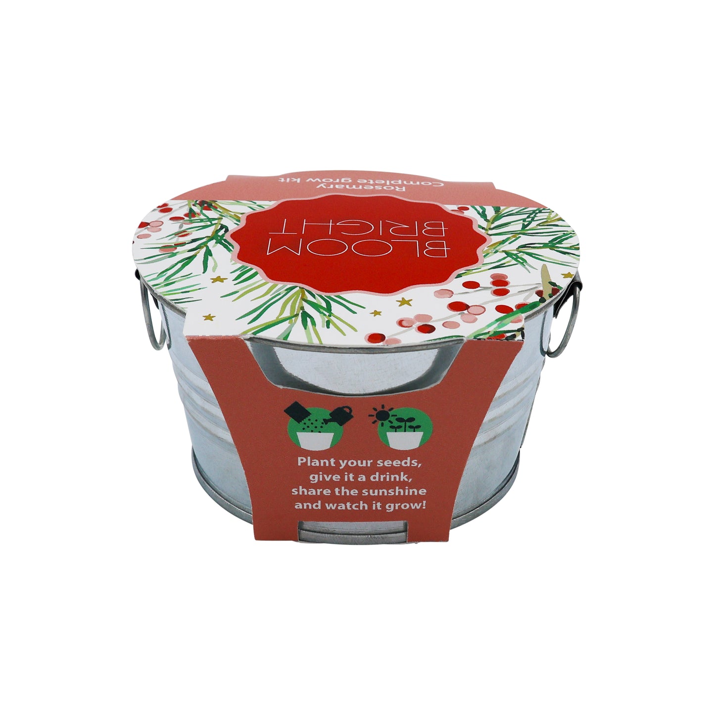 Basin Grow Kit - Bloom Bright