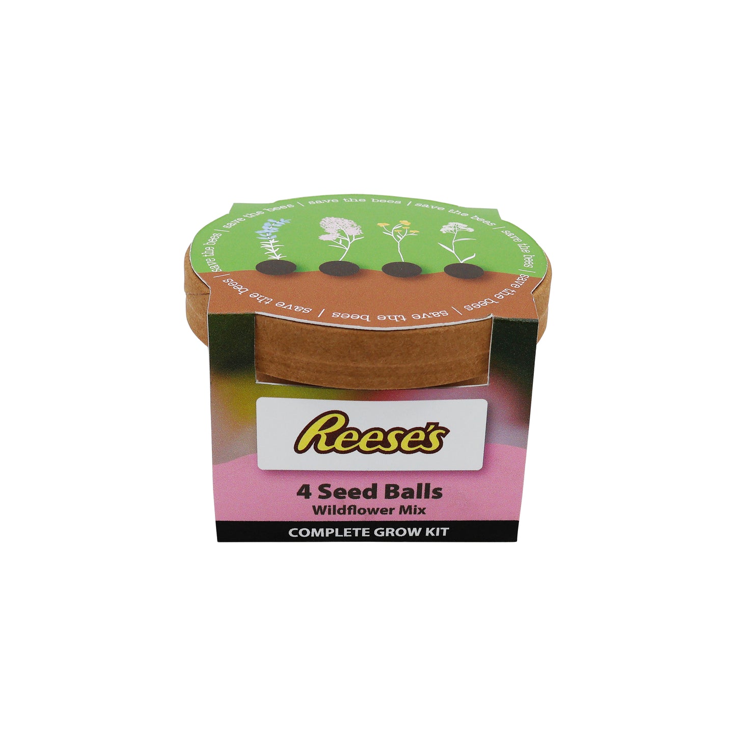 Seed Ball Grow Kit – Pollinators