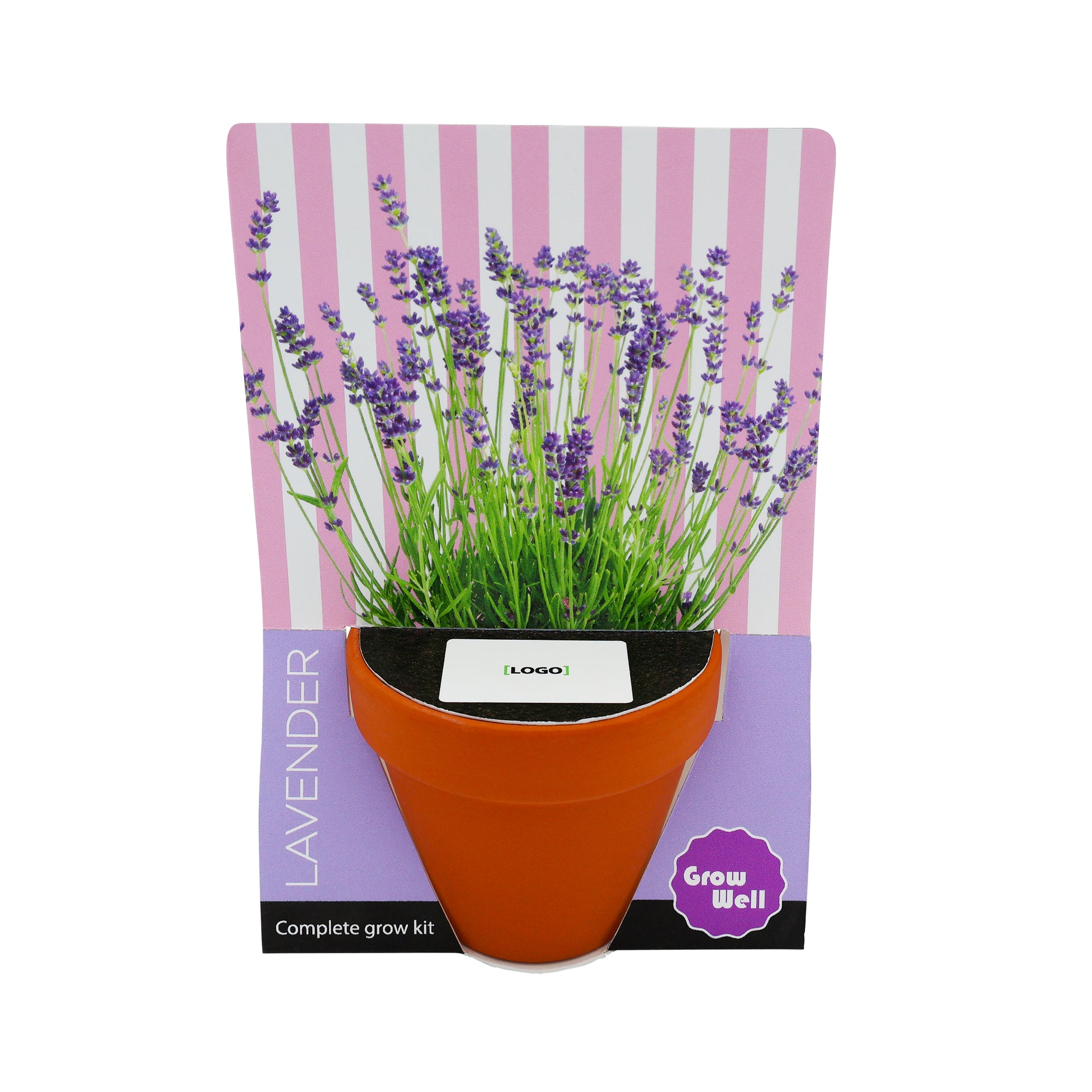 Terracotta Grow Kit - Grow Well