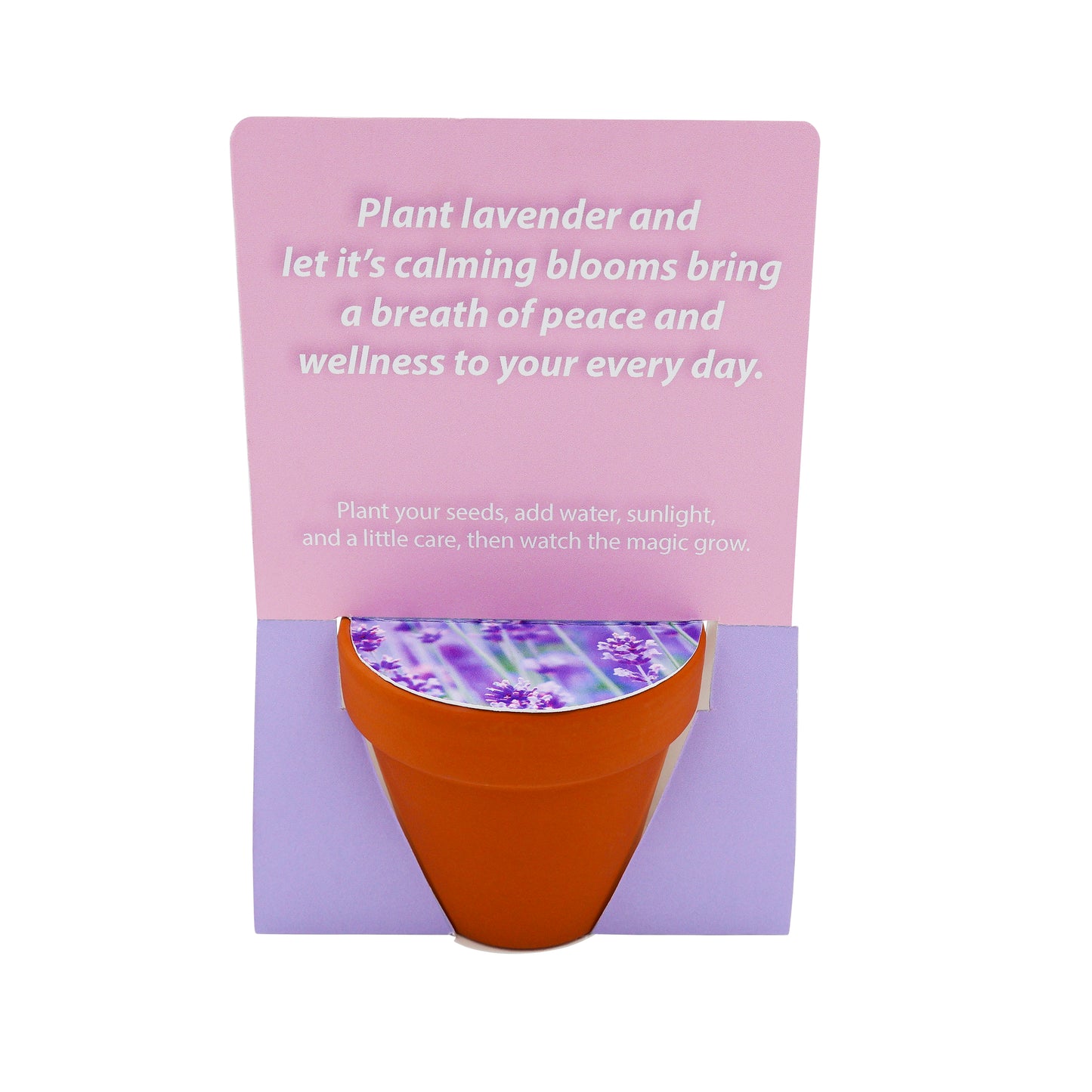 Terracotta Grow Kit - Grow Well