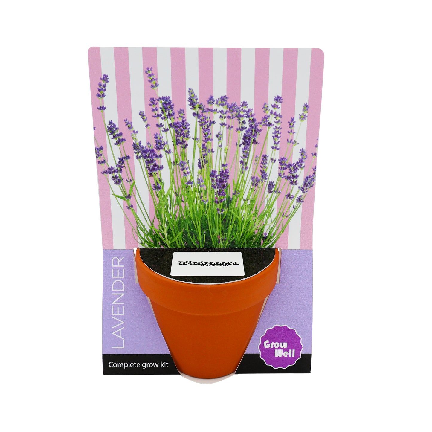 Terracotta Grow Kit - Grow Well