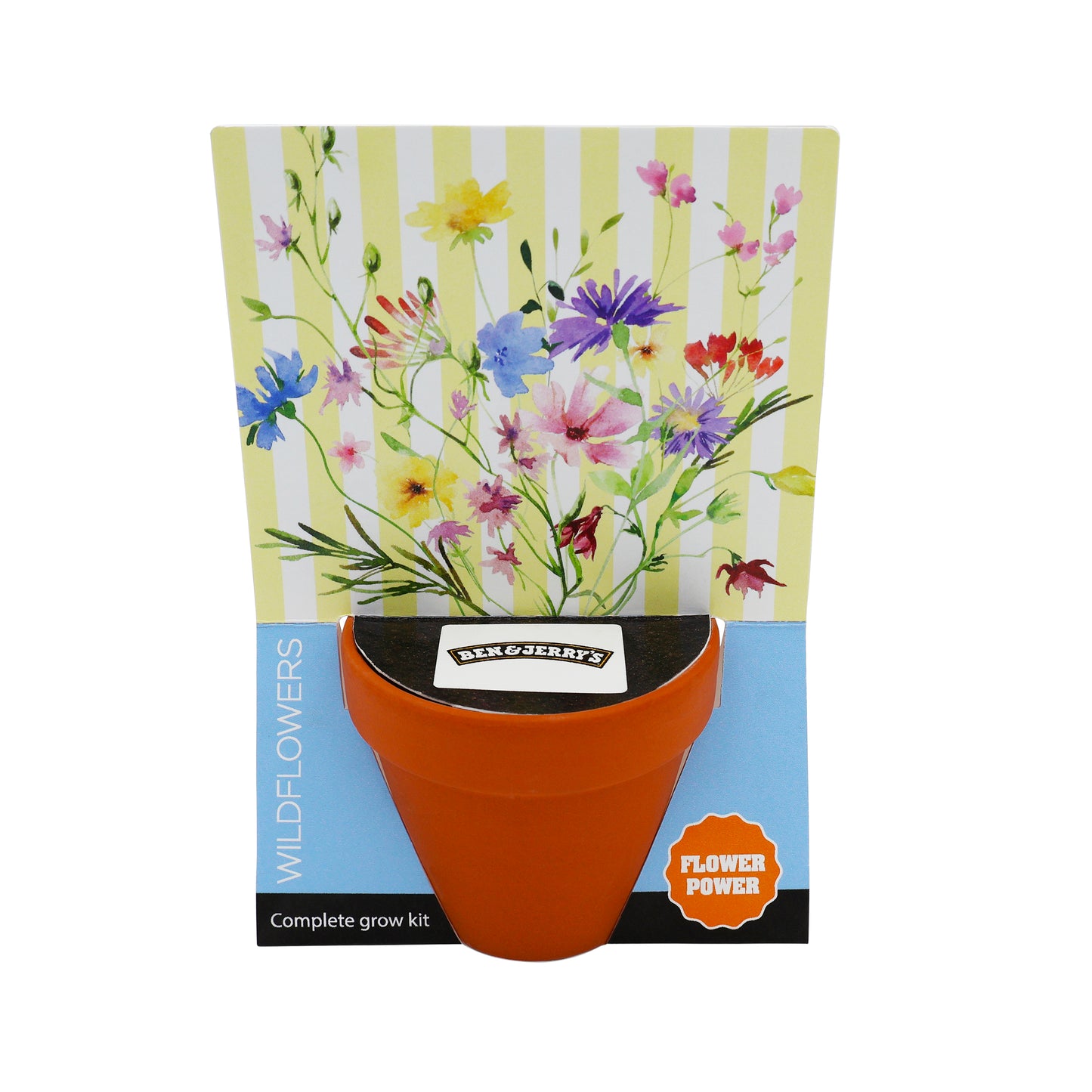Terracotta Grow Kit - Flower Power