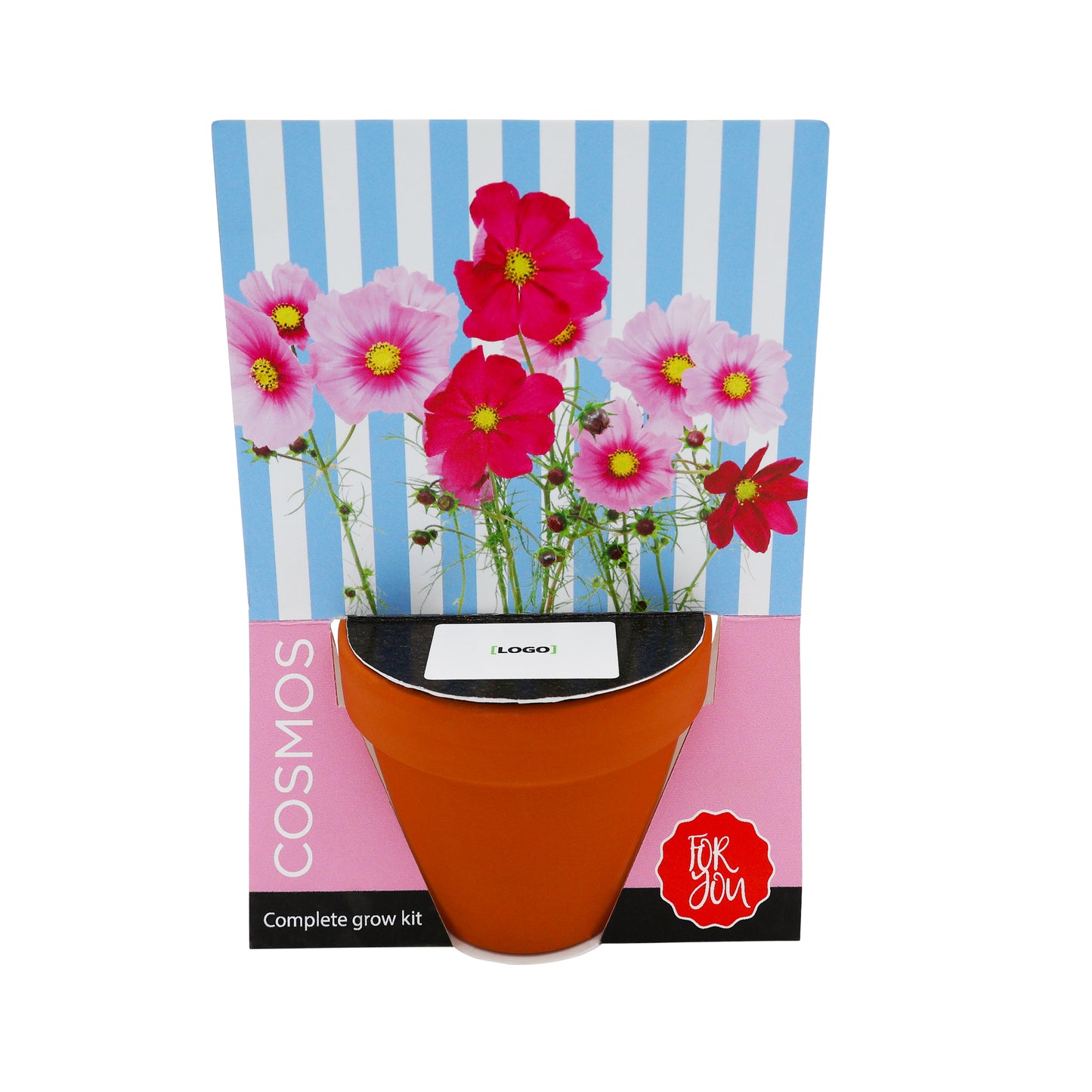 Terracotta Grow Kit - Flowers For You
