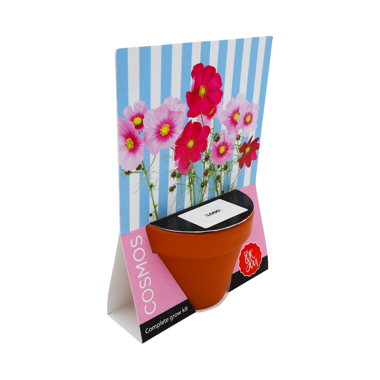 Terracotta Grow Kit - Flowers For You