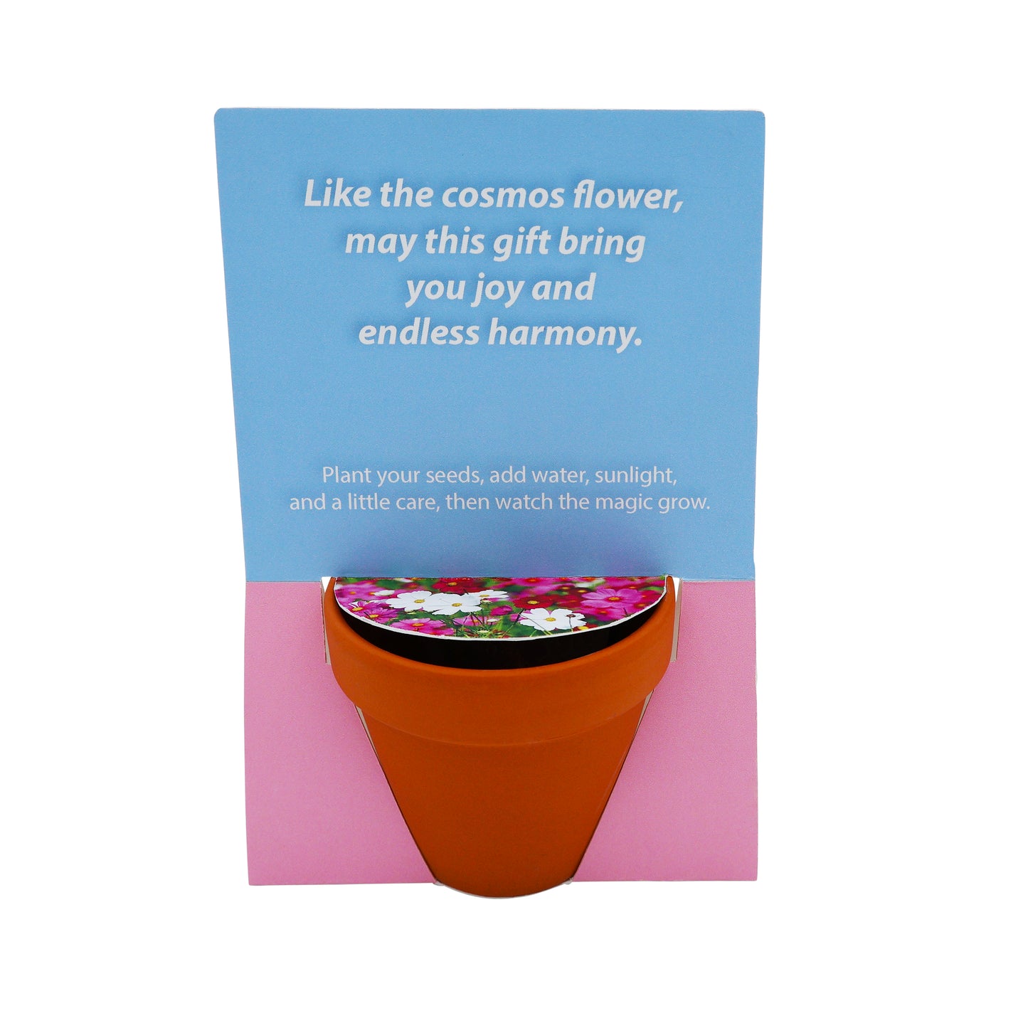 Terracotta Grow Kit - Flowers For You