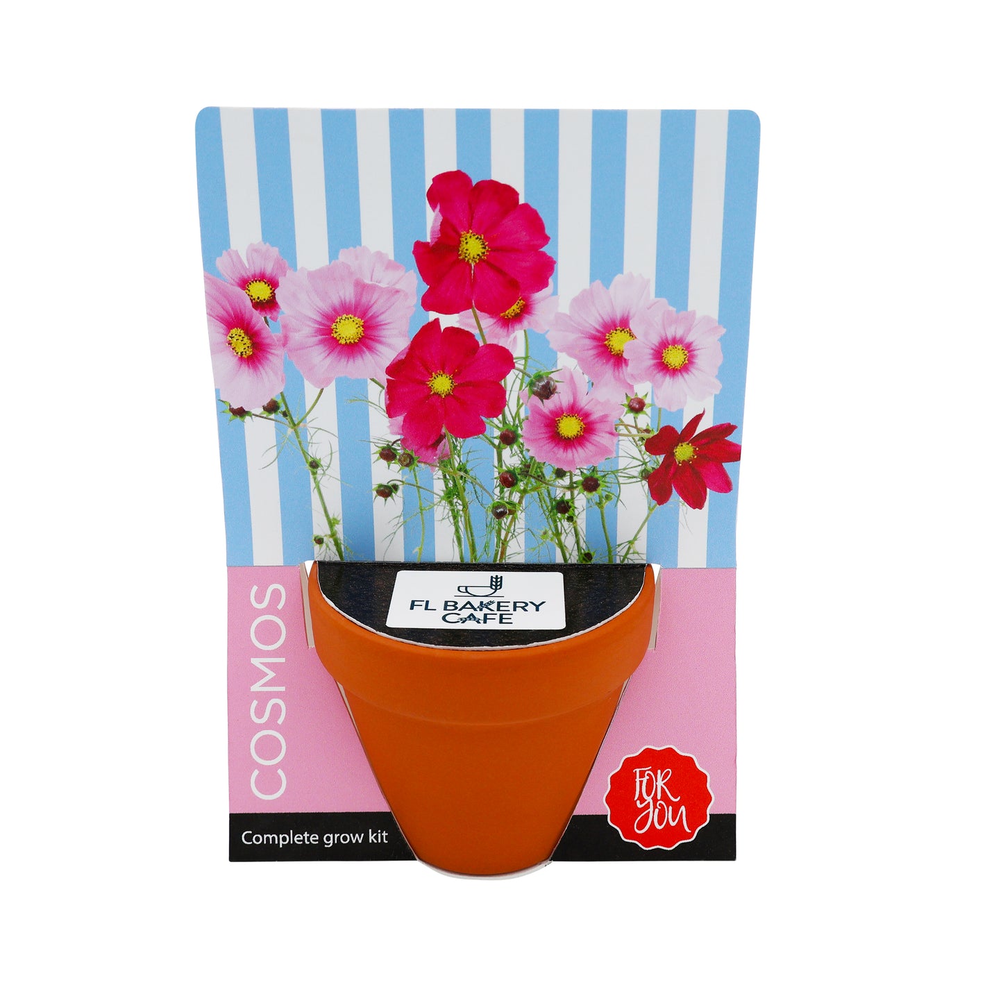 Terracotta Grow Kit - Flowers For You