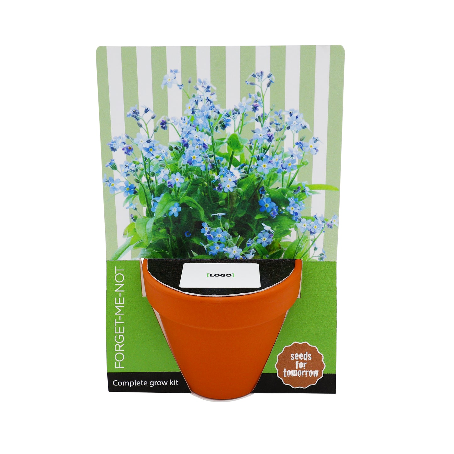 Terracotta Grow Kit - Seeds for Tomorrow