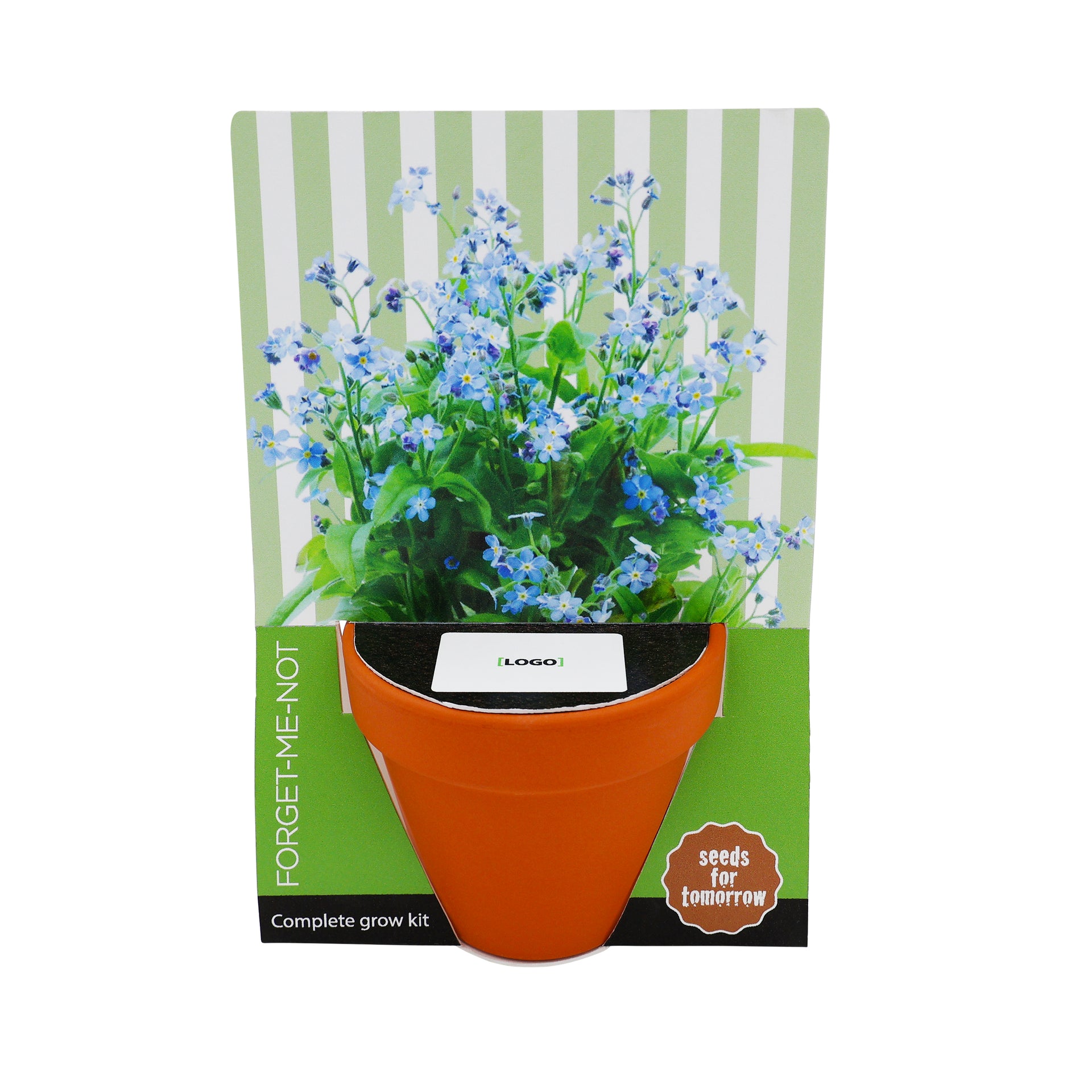 Terracotta Grow Kit - Seeds for Tomorrow