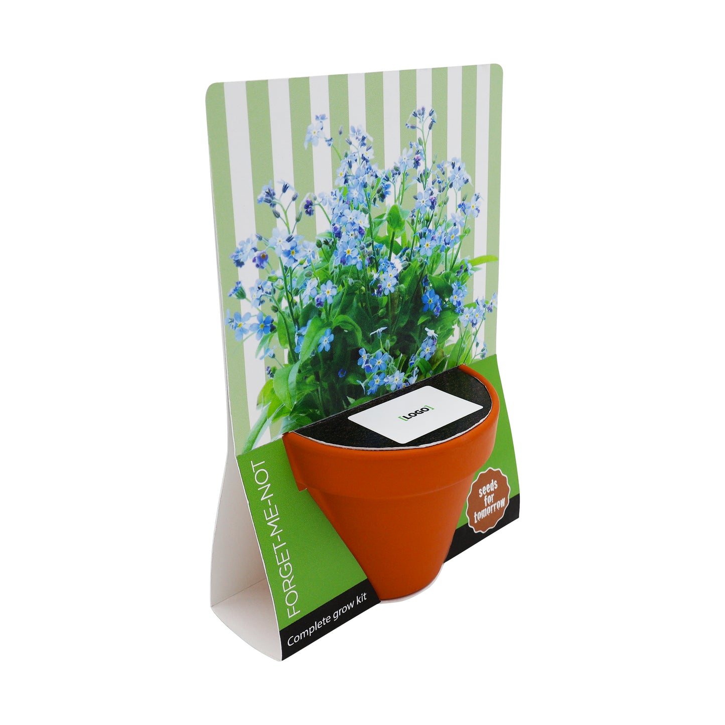 Terracotta Grow Kit - Seeds for Tomorrow