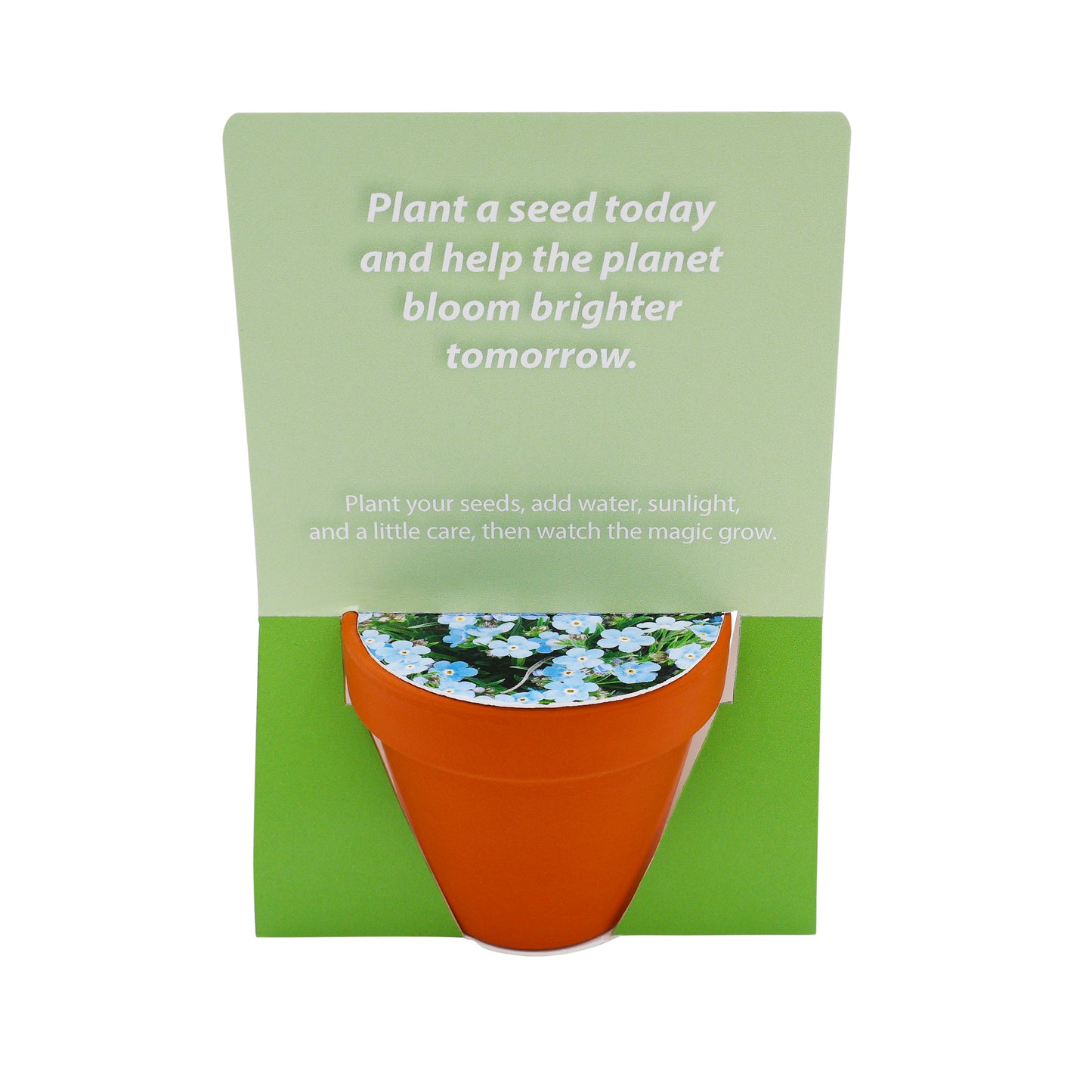 Terracotta Grow Kit - Seeds for Tomorrow