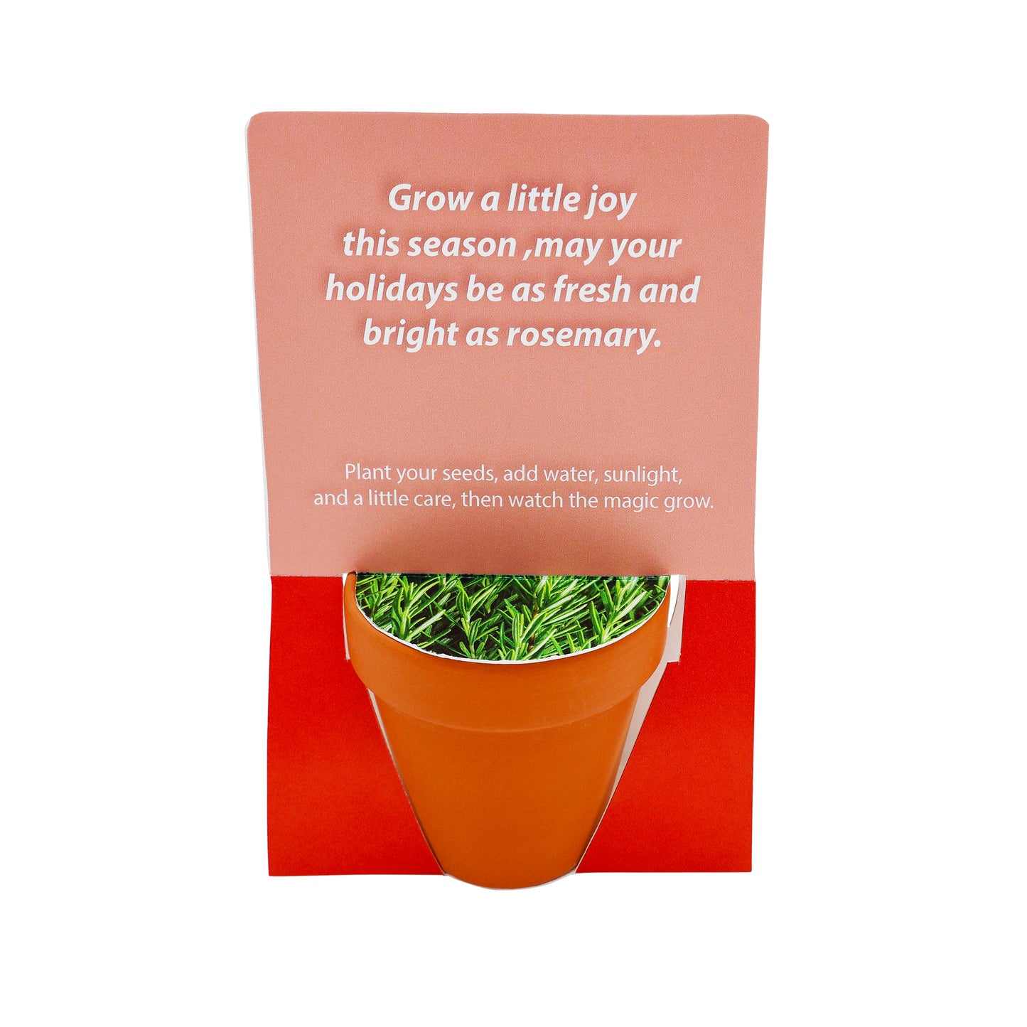 Terracotta Grow Kit - Season to Grow