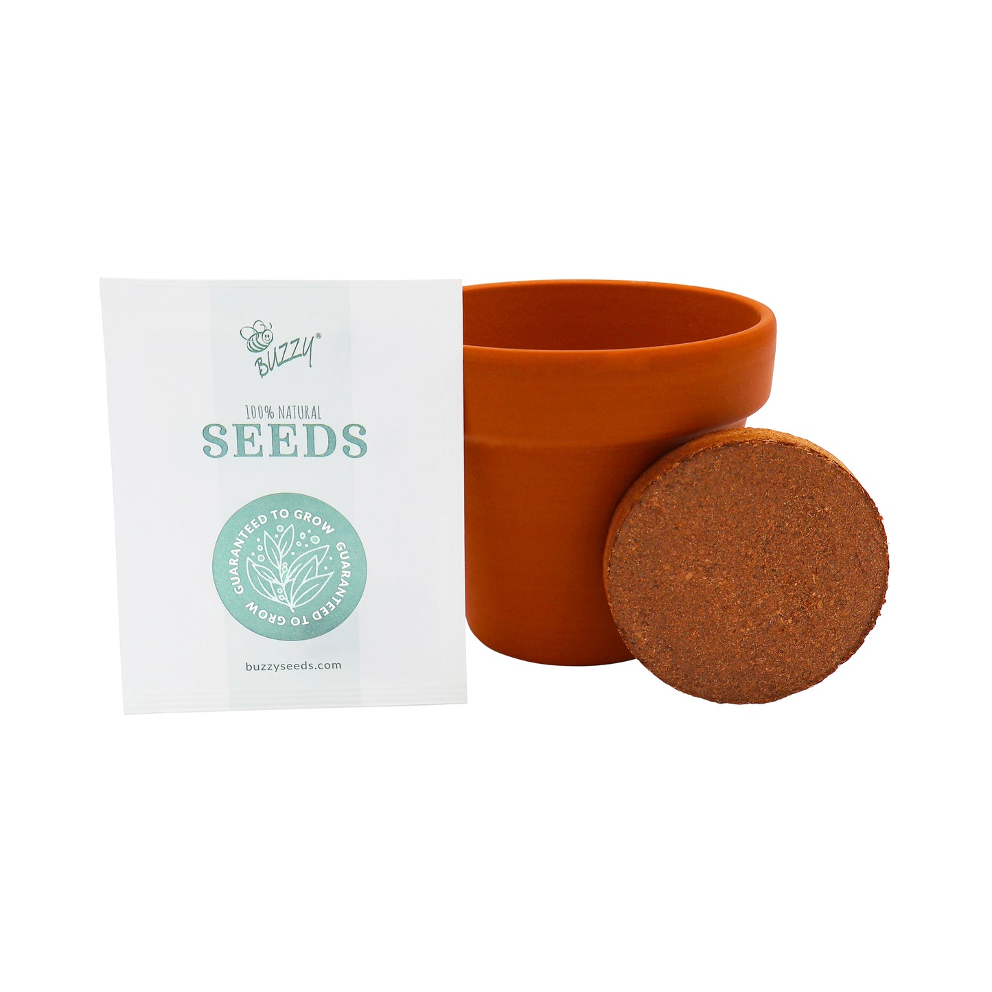 Terracotta Grow Kit - Flower Power