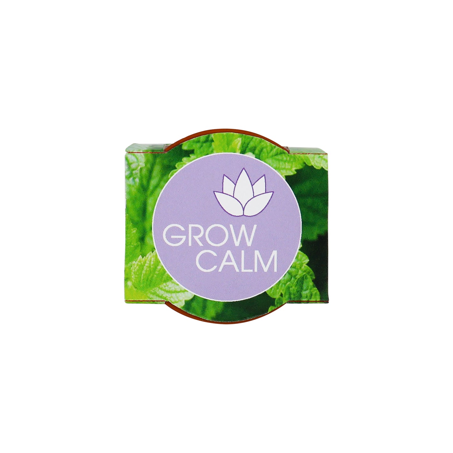 Mini Terracotta Grow Kit - Grow Calm
